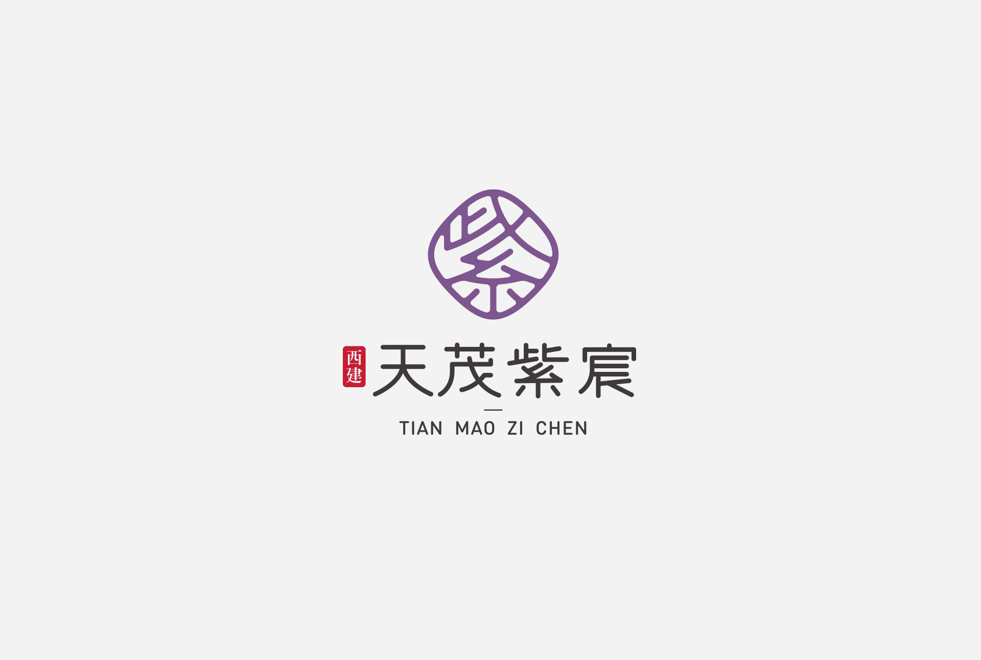 文字类LOGO设计案例 LOGO设计 第20张